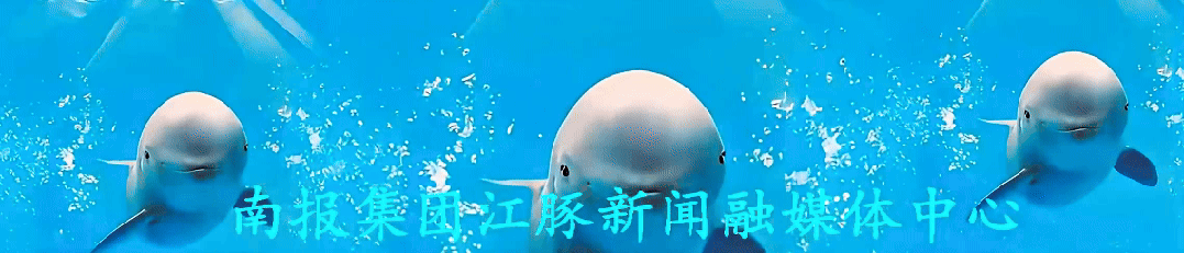3dc49fba1124429786f256183c8cfea5.gif