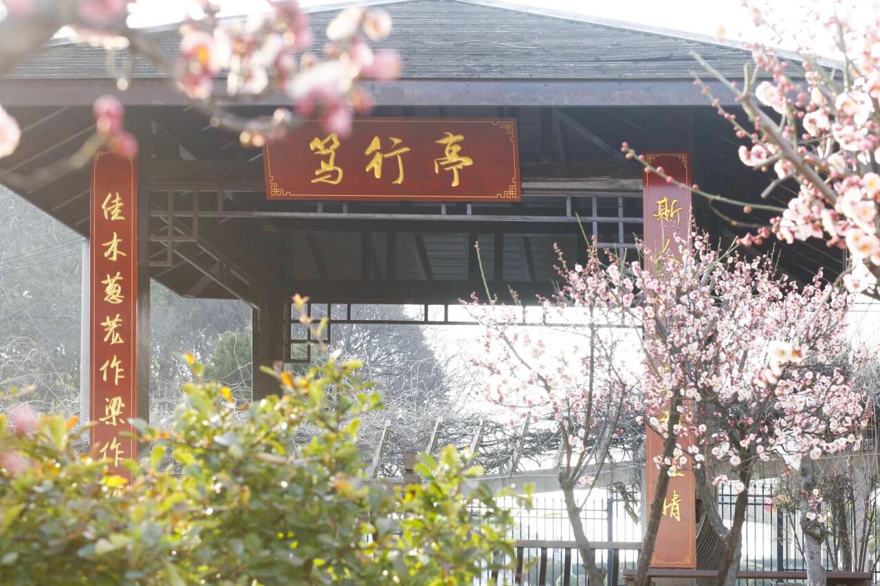 时间的答案:雨花台中学2025年度盘点
